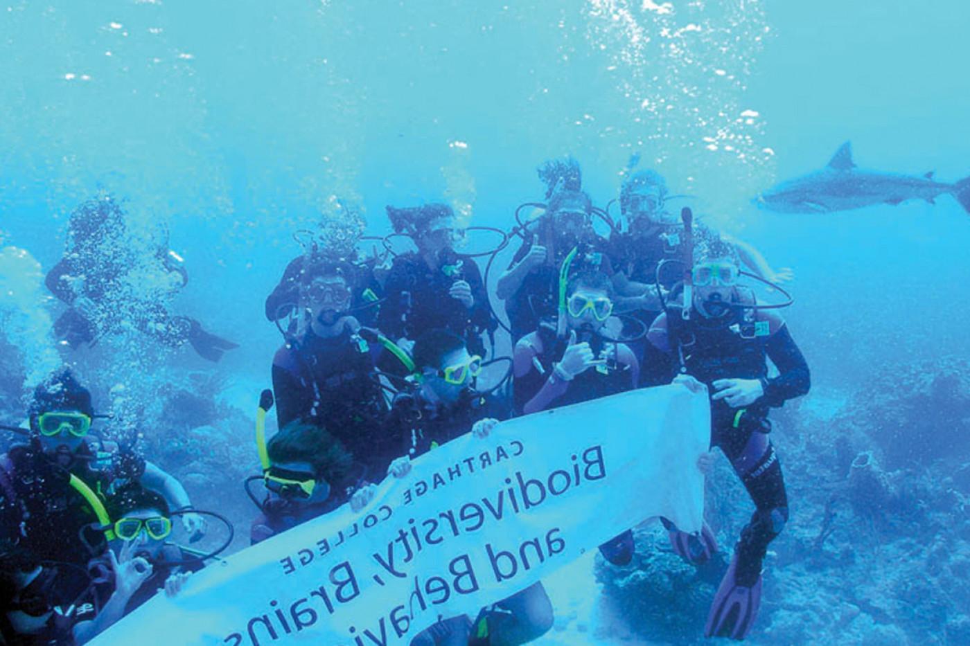 Students on the J-Term study tour Biodiversity, Brains and Behavior encounter a shark underwater ...